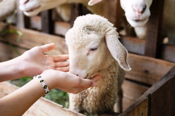 Future of Animal Nutrition: Growth and Regulation